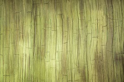 Decorative Wall Finishes